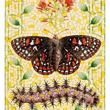 pomegranate greeting card