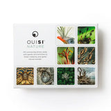 OUISI Nature- Games of Visual Connection