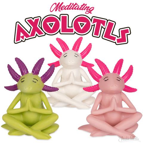 Meditating Axolotl