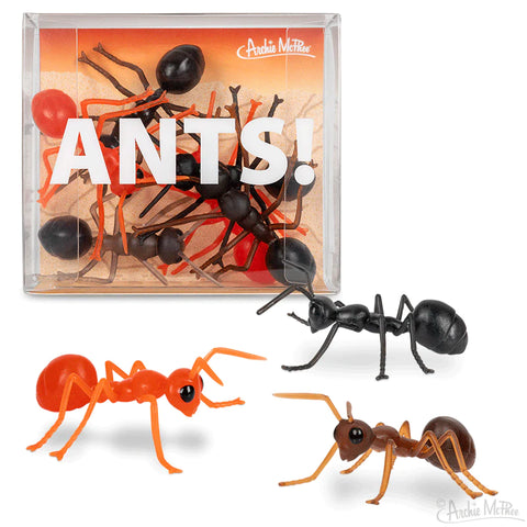 ANTS!!