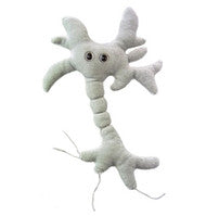 Giant Microbes - Brain Cell
