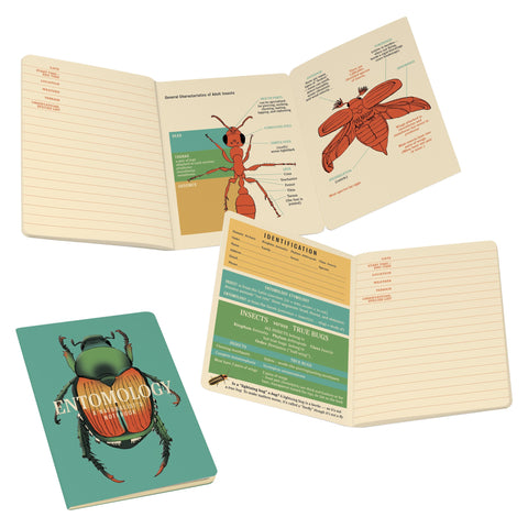 Insect Notebook
