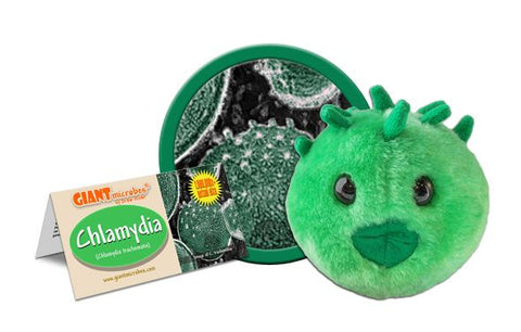 Giant Microbes - Chlamydia