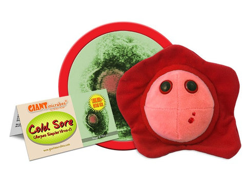 Giant Microbes-Cold Sore (Herpes Simplex Virus-1)