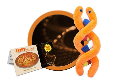 Giant Microbes-DNA