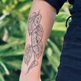 Nature Tats - Temporary Tattoos