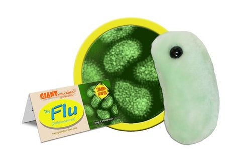 Giant Microbes- The Flu (Orthomyxovirus)