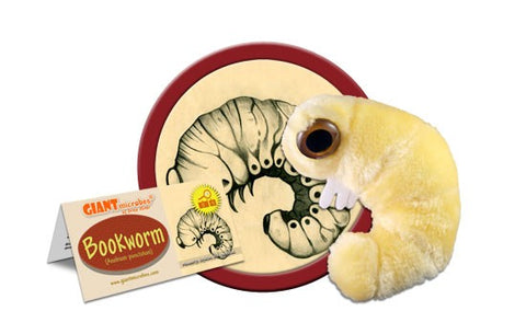 Giant Microbes Bookworm (Anobium Punctatum)