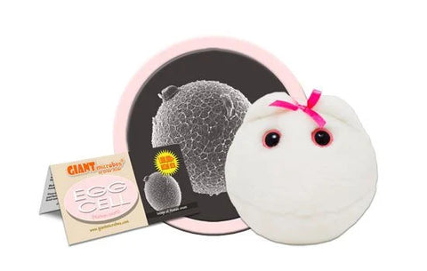Giant Microbes -Egg Cell