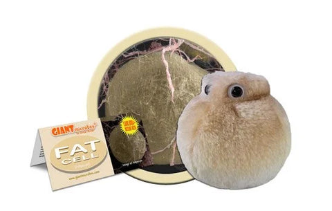 Giant Microbes- Fat Cell (Neuron)