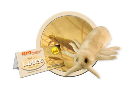 Giant Microbes- Louse