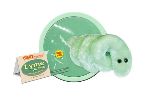 Giant Microbes- Lyme Disease ( Borrelia Burgdorferi)