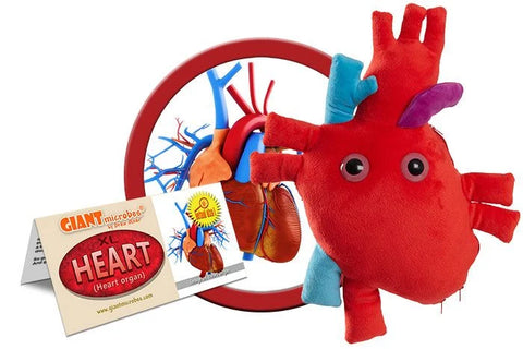 Giant Microbes Deluxe Heart