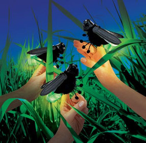 Mini Firefly