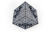 Shashibo Shape Shifting Box